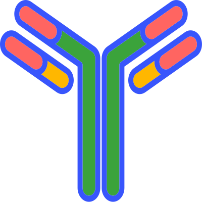 IgG antibody original